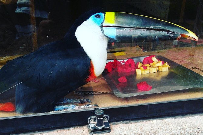 carriage-to-sanctuary-live-a-great-experience