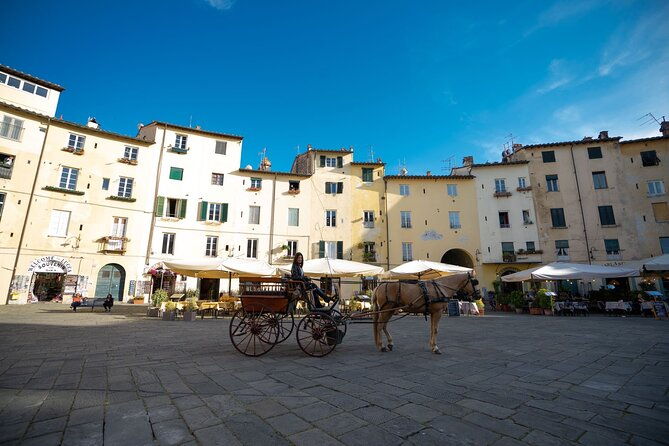 carriage-tour-in-the-historic-center-of-lucca