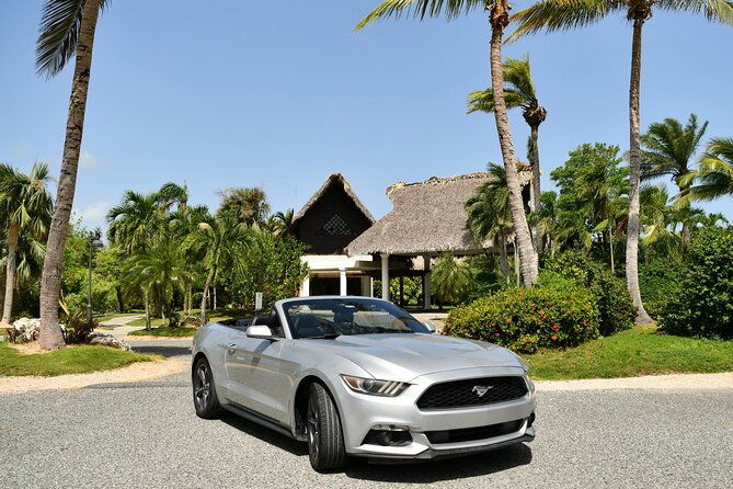 cars-for-rent-in-punta-cana