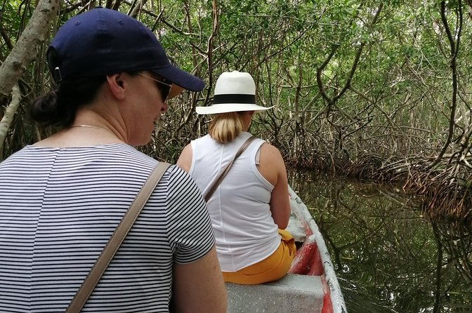 cartagena-boquilla-and-mangroves-canue-ride-also-for-cruisers