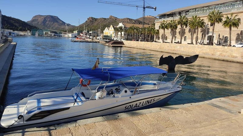 Cartagena: Cartagena Bay Swimming Route - Who Should Consider This Tour?