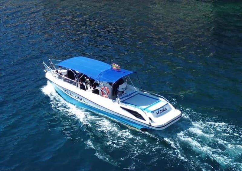 Cartagena: Guided boat tour of Cartagena and Algamecas Port - Final Thoughts