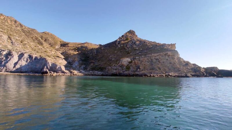 Cartagena: Guided boat tour to Isla de las Palomas - Key Points