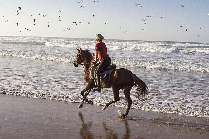 cartagena-horseback-riding-at-the-beach-during-day-or-sunset