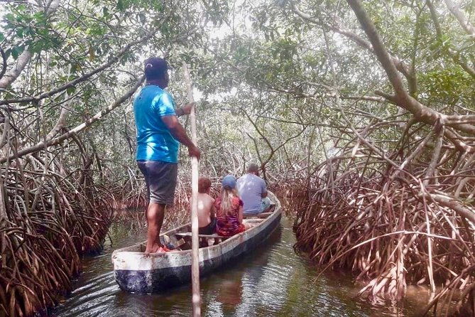 cartagena-mangrove-tour