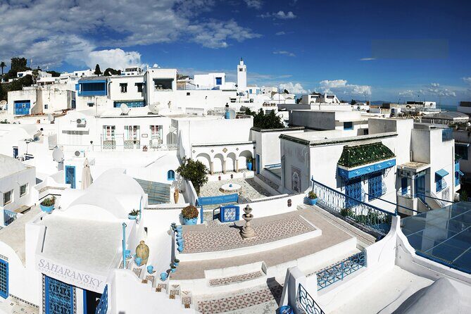 Carthage, Bardo Museum, Sidi Bou Said and Medina Private Day Tour - Final Thoughts