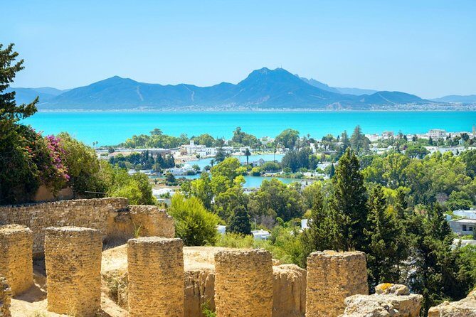 Carthage Discovery Half-Day Tour with Licensed Guide - Discovering Carthage: A Half-Day Tour Worth Your Time