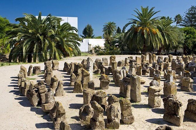 Carthage Discovery Half-Day Tour with Licensed Guide - Key Points