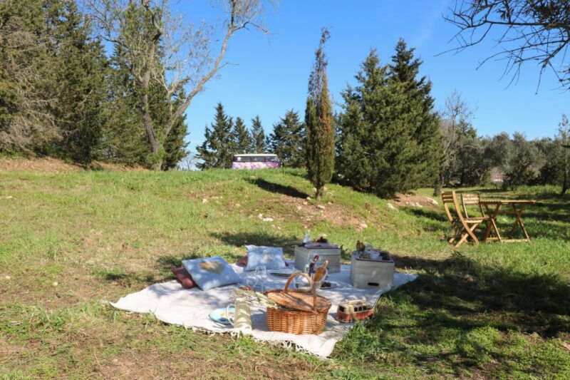 carvoeiro-portimao-lagos-algarve-romantic-vineyard-picnic