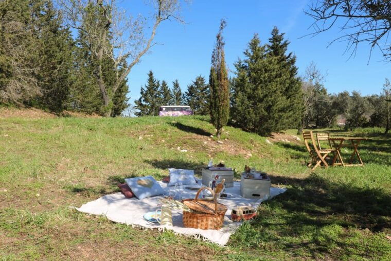 carvoeiro-portimao-lagos-algarve-romantic-vineyard-picnic