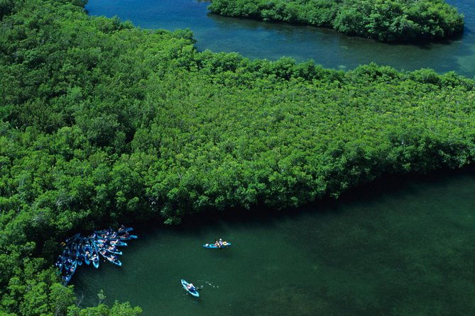 cas-cay-kayak-hike-and-snorkel-adventure