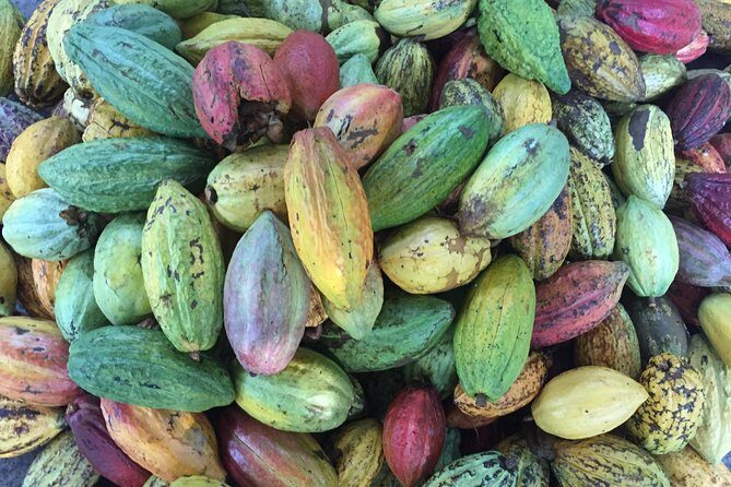 CASA Authentic Mekong Motorbike Tour - Final Thoughts