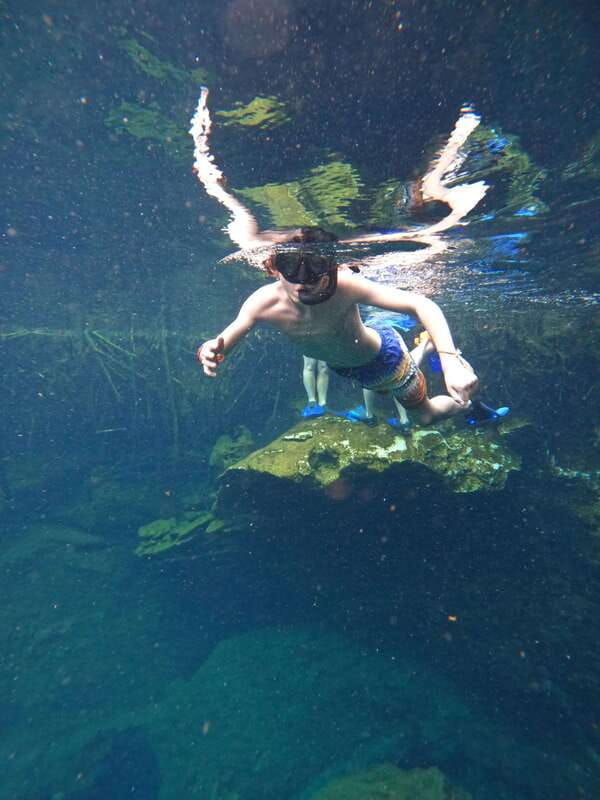 casa-cenote-snorkeling-tour