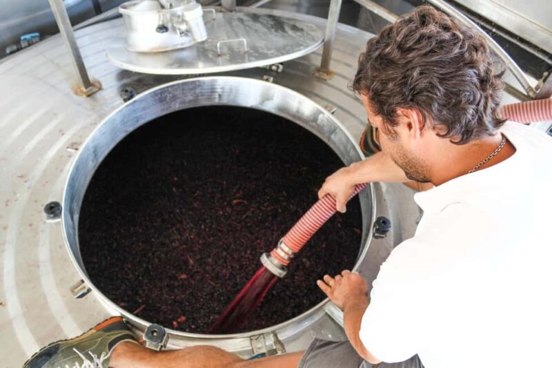Casa Relvas, Évora - Visit to the Winery with Tasting of 5 wines and Tapas - Key Points