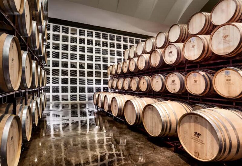 Casa Relvas, Évora - Visit to the Winery with Tasting of Portuguese Grape Varieties and Tapas - A Closer Look at the Casa Relvas Experience