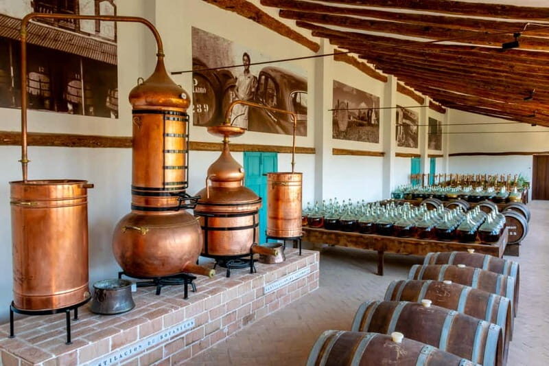 Casa Vermouth Padró: Vermouth tasting and guided visit in Bràfim (Tarragona) - Introduction