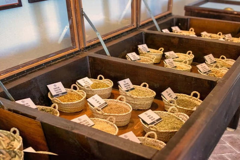 Casa Vermouth Padró: Vermouth tasting and guided visit in Bràfim (Tarragona) - Who should consider this tour?  