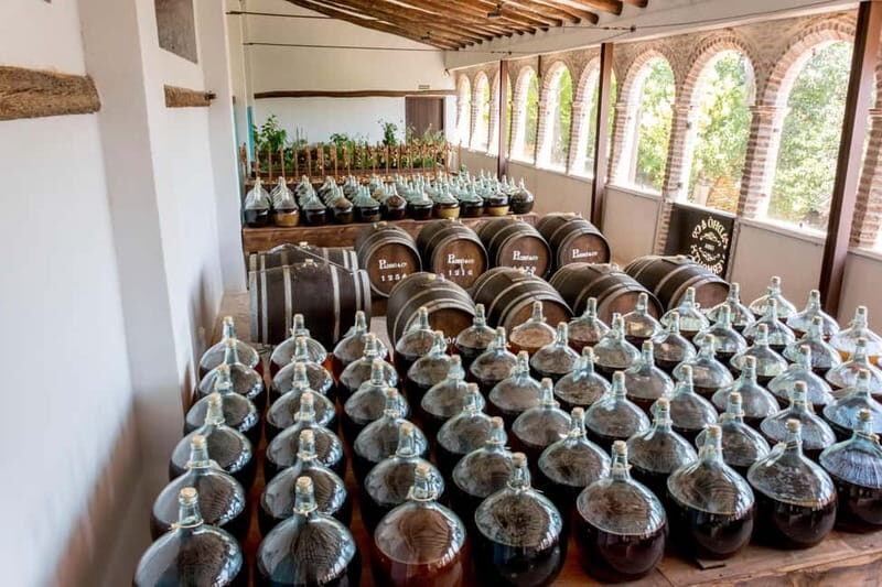 Casa Vermouth Padró: Vermouth tasting and guided visit in Bràfim (Tarragona) - Tips for Visitors