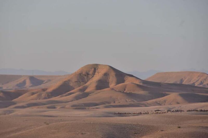 Casablanca: 7-Day Luxury Trip from North to Desert - The Value of the Experience