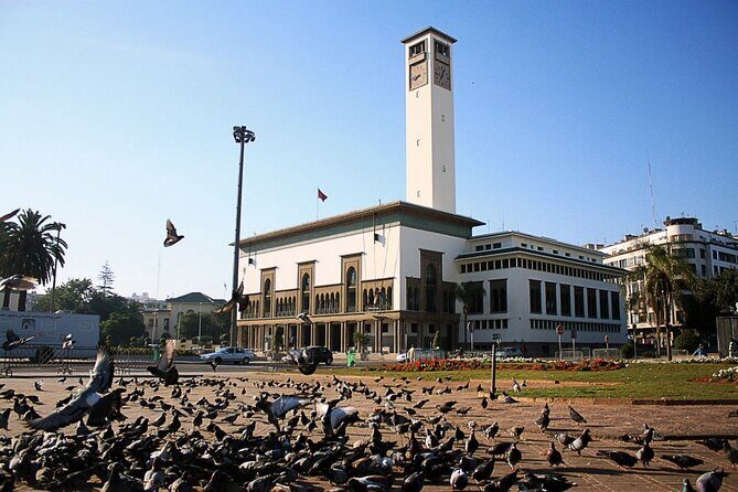 Casablanca Airport Layover Tour with Return to Airport or Hotel Dropoff - Final Thoughts