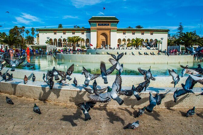 Casablanca Half-day guided tour - FAQ