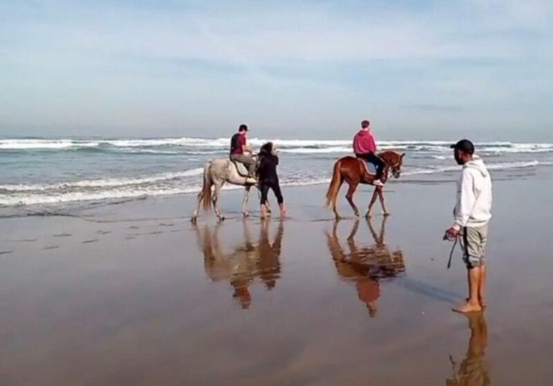 Casablanca: Private or Group Tour - The Itinerary: What to Expect