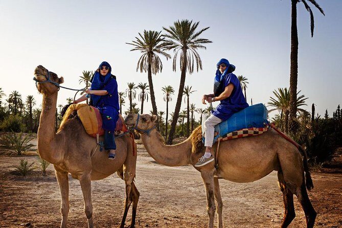 Casablanca to Marrakech Day Trip with Camel Ride - FAQ
