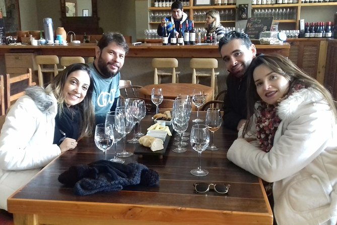 casablanca-valley-casa-del-bosque-3-vineyards-full-day