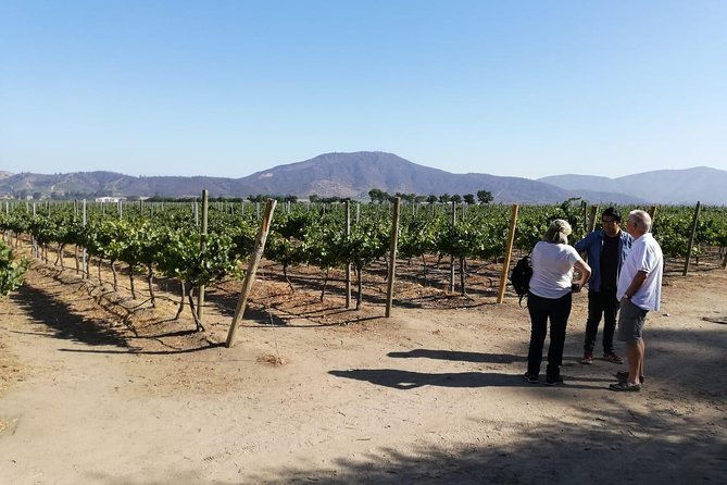 casablanca-valley-experience