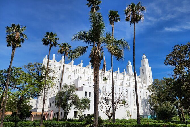 Casablanca walking tour with an academic tour guide - Authentic Experiences and Reviewer Insights