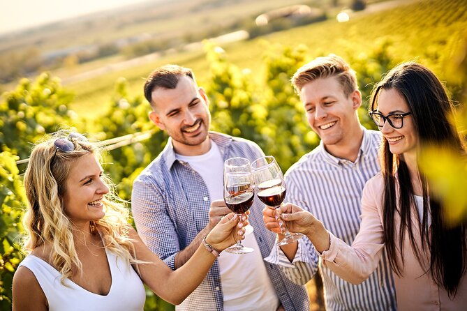 casablanca-world-class-wines-4-vineyards-tanino-lunch-stop