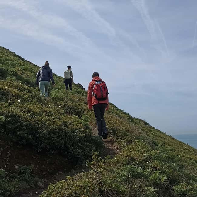 Cascais: Atlantic Coastline Wild Hike - Key Points  