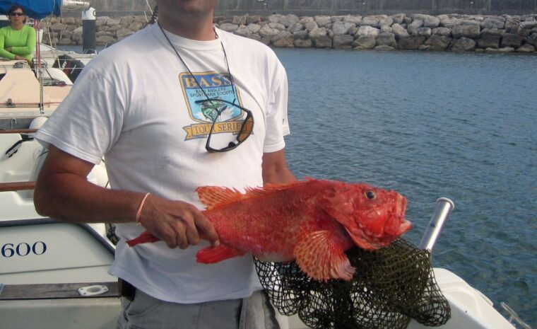 cascais-deep-sea-fishing-trip