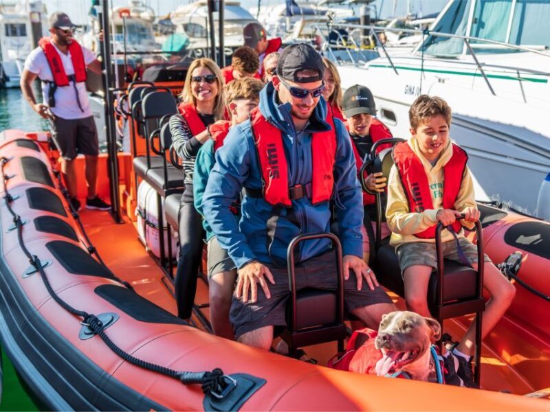 Cascais: Dolphin Watching Tour - Final Thought