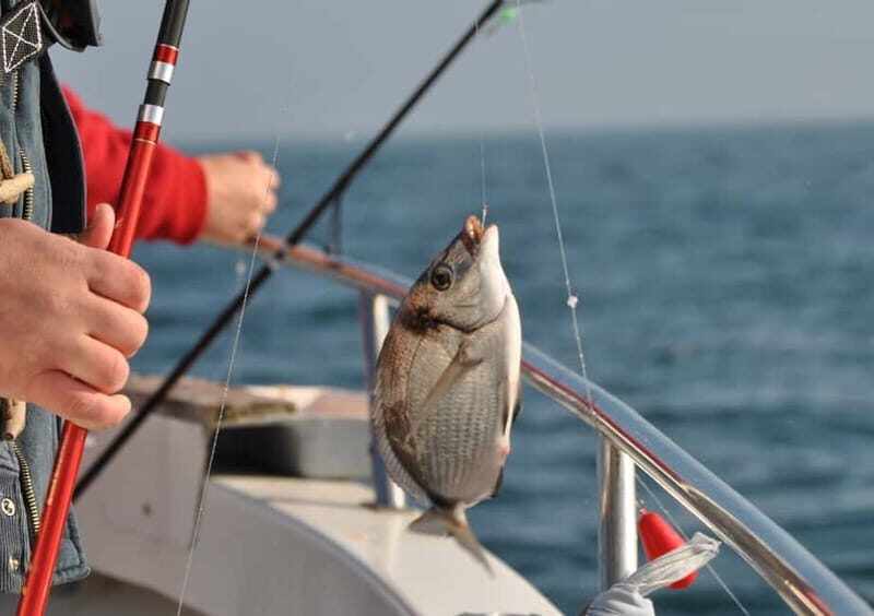 Cascais: Family Fishing - Key Points