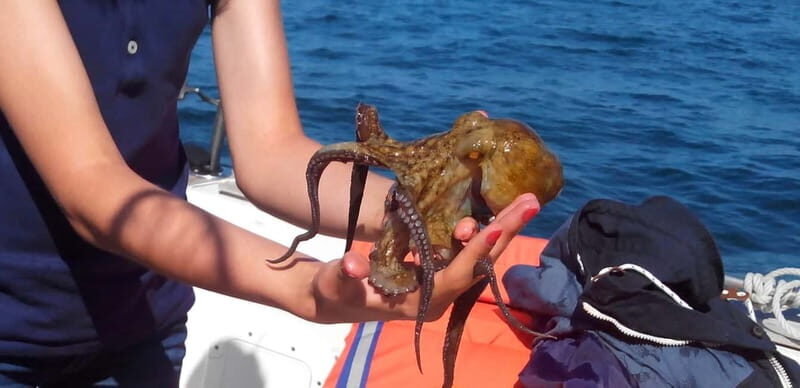 Cascais: Family Fishing - An in-depth look at the Cascais Family Fishing Tour