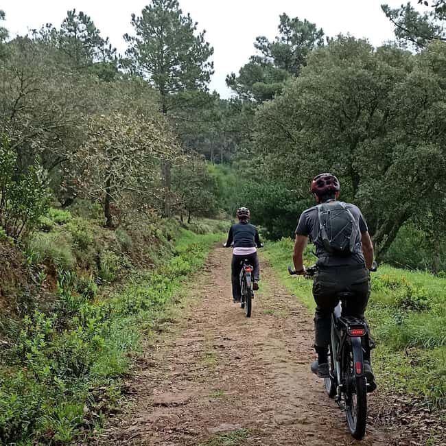 Cascais: Guided Scenic Bike Ride, Tuesday - Final Thoughts