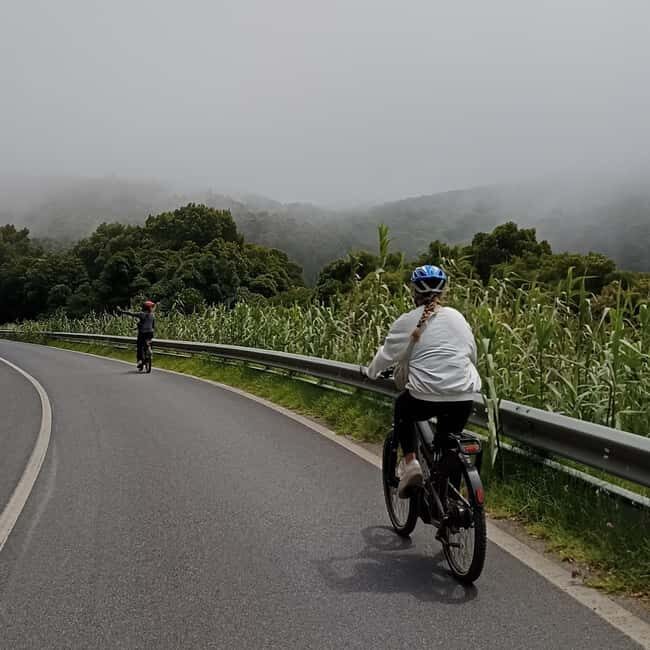 Cascais: Guided Scenic Bike Ride, Tuesday - FAQ