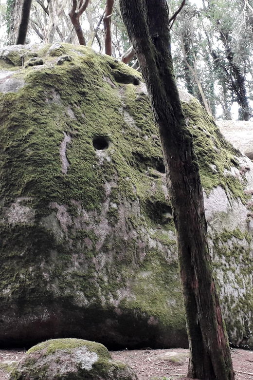 cascais-hiking-in-sintra-cascais-natural-park