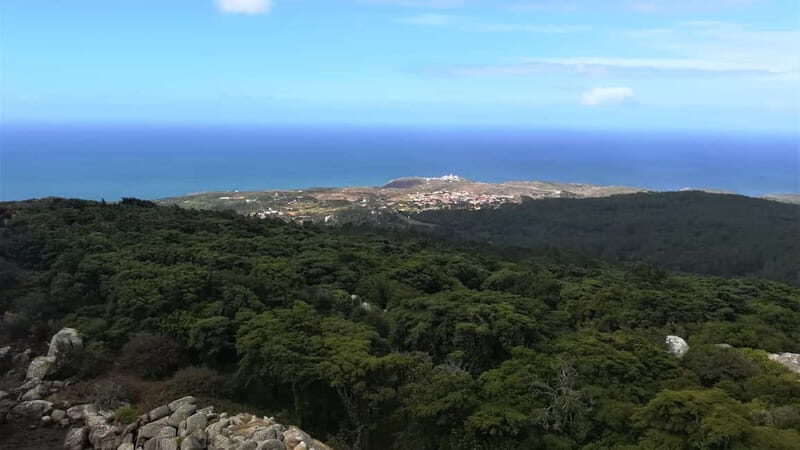 Cascais: Open Water Swimming and Hiking Experience - An In-Depth Look at the Cascais Swimming and Hiking Tour