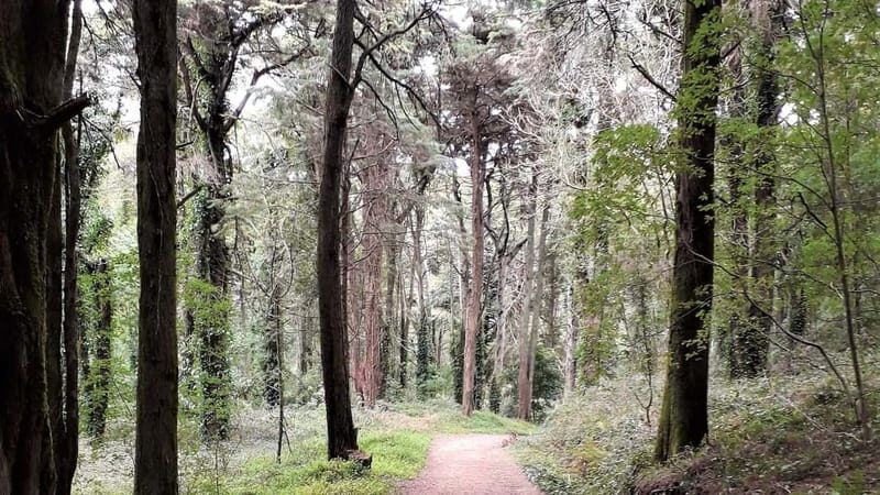 Cascais: Open Water Swimming and Hiking Experience - The Value of This Experience