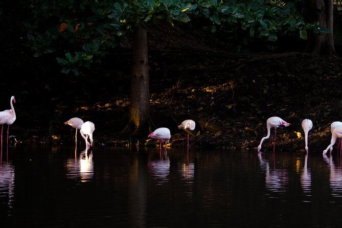 Casela World of Adventures, West of Mauritius - Full Day + Lunch - Who Should Consider This Tour?