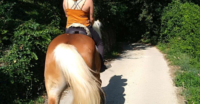 casentino-horseback-riding-tour-with-verna-sanctuary-view