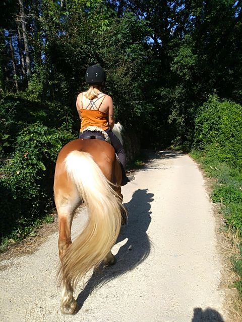 casentino-horseback-riding-tour-with-verna-sanctuary-view