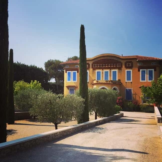 Cassis, Bandol, Le Castellet wine tour: Cliffs and Vineyards - Wine Tasting and Vineyard Visits