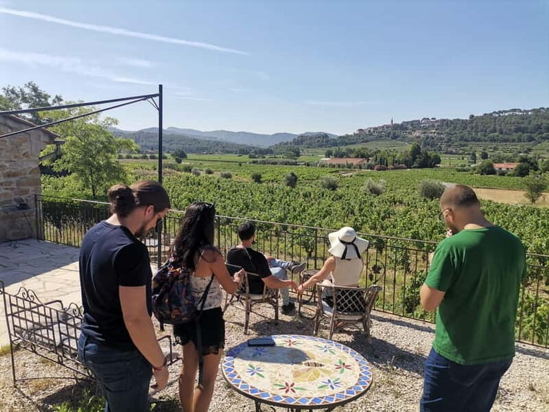 Cassis, Bandol, Le Castellet wine tour: Cliffs and Vineyards - The Scenic Highlights: Cliffs, Views, and Photo Opportunities