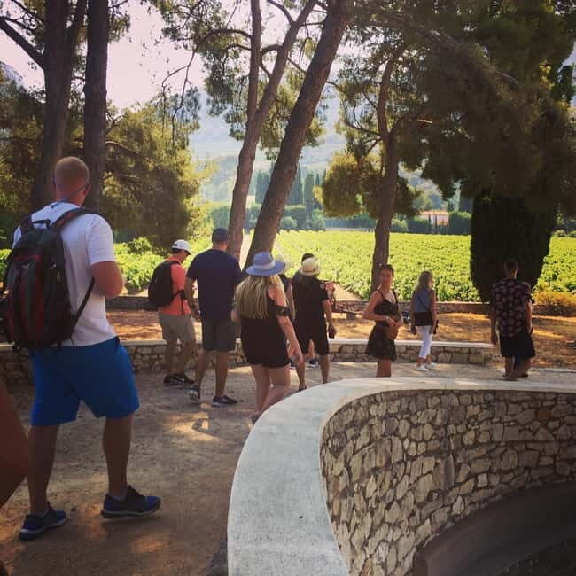 Cassis, Bandol, Le Castellet wine tour: Cliffs and Vineyards - Authenticity and Value
