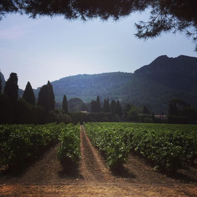 Cassis, Bandol, Le Castellet wine tour: Cliffs and Vineyards - FAQs