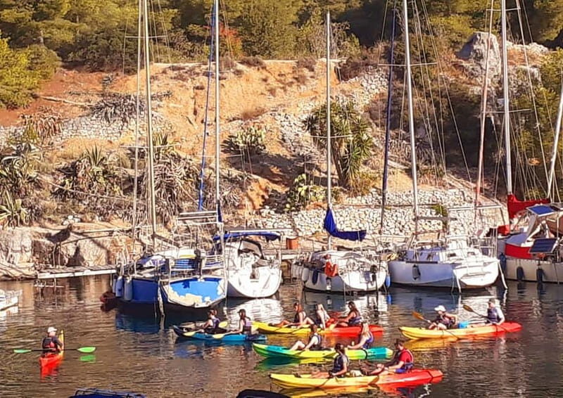 Cassis: half-day sea kayaking trip in the Calanques National Park - Authentic Experiences and What Reviewers Say