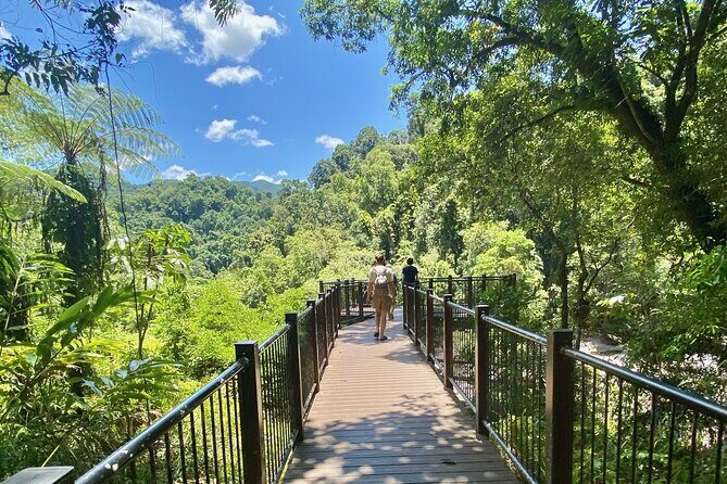 Cassowary Coast Waterfall Culture Tour - Transport and Group Size